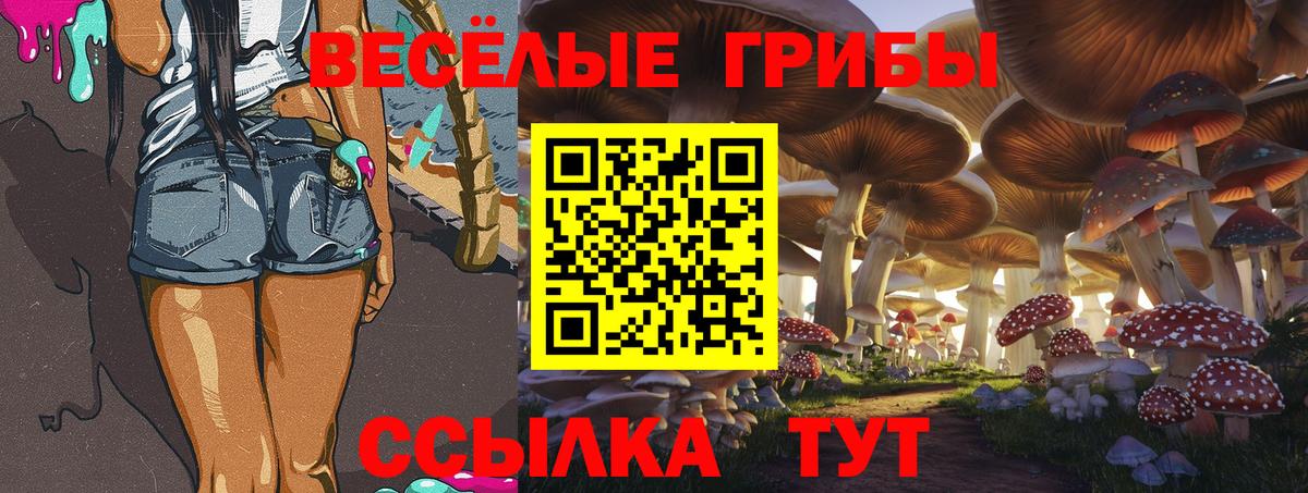 Галлюциногенные грибы прущие грибы Якутск