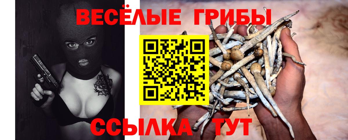хочу   Псилоцибиновые грибы GOLDEN TEACHER  Вход с VPN  Якутск 